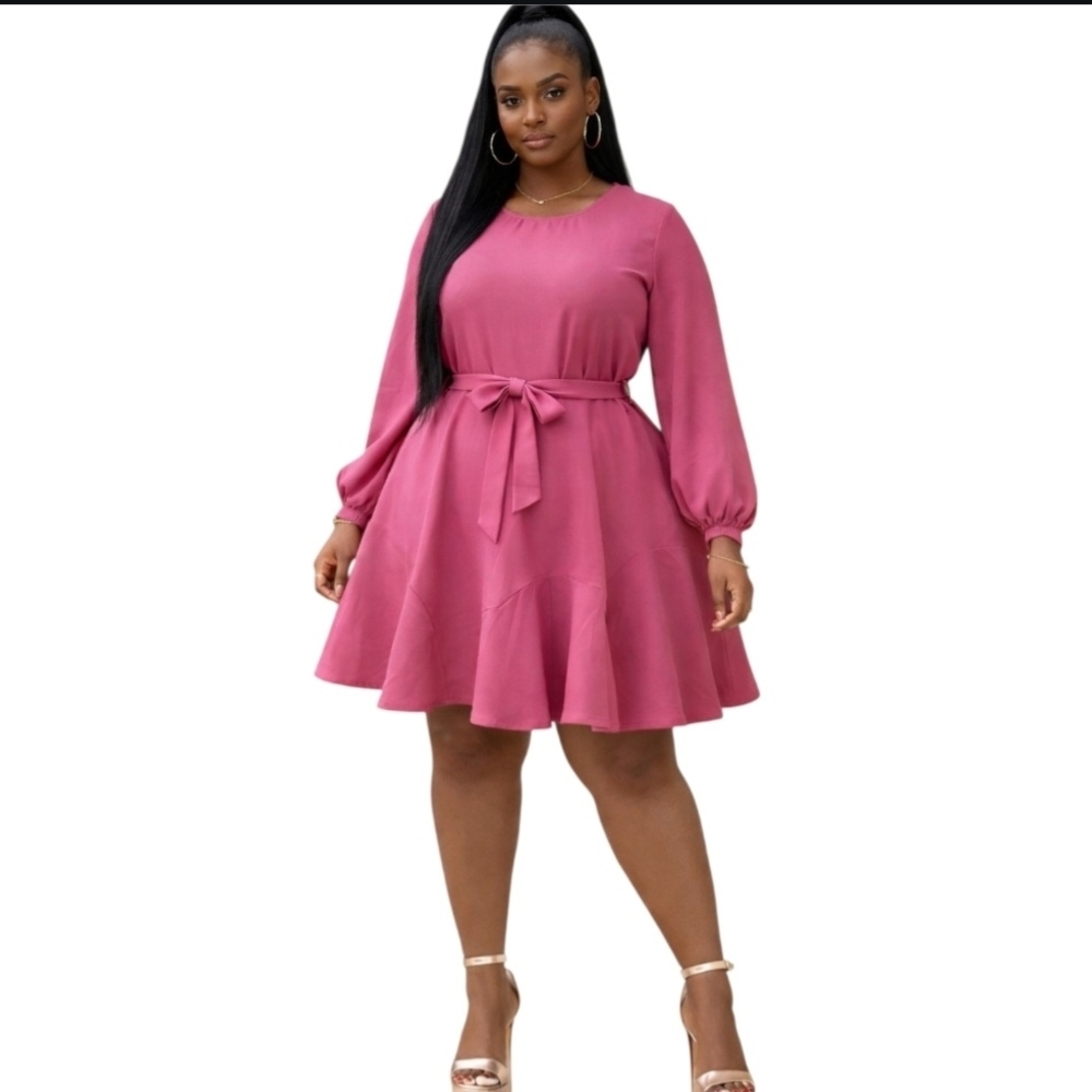 Fashion XX Large Pink Long Sleeve Belted Fit & Flare Dress.